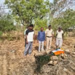 राष्ट्रीय पक्षी मोर को राजकीय सम्मान के साथ की अंतिम विदाई